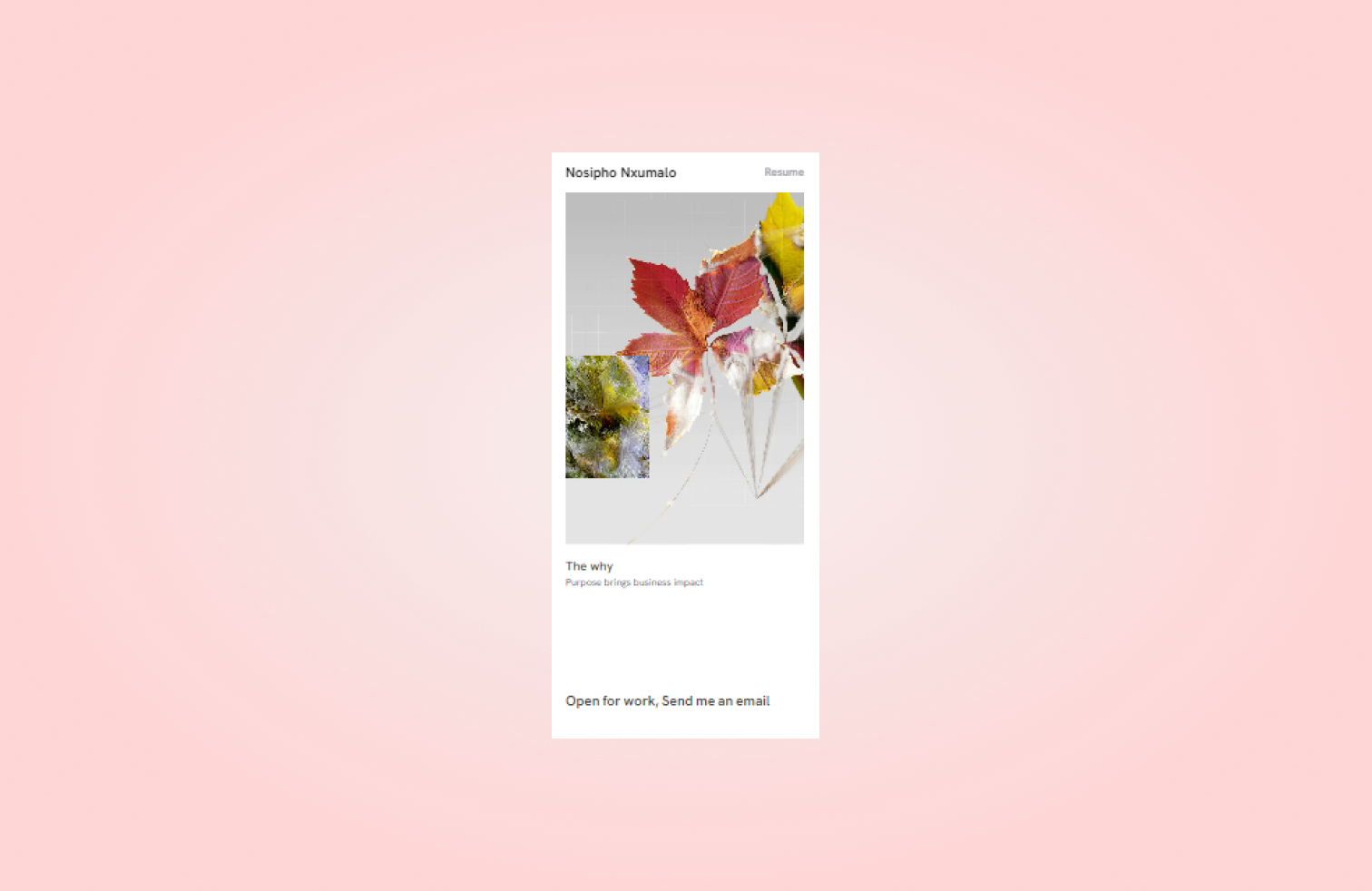 Project image